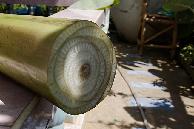 Famille et amis NOV11-032